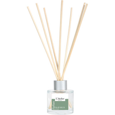 Bouquet Parfumé Fraicheur de Basilic/Notes aromatiques/100ml