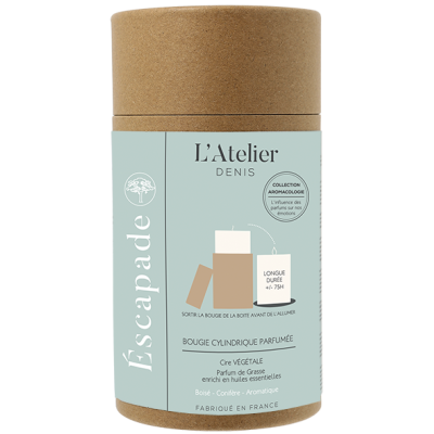 Cylindre végétal Escapade/Notes d'Eucalyptus/400g