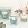 Bougies Fraicheur de Basilic/Notes aromatiques